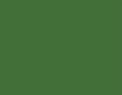 RAL 6010
