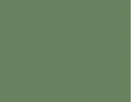 RAL 6011