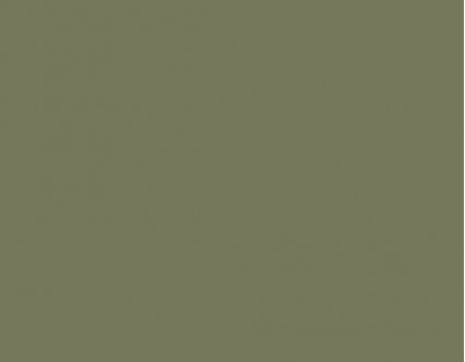 RAL 6013