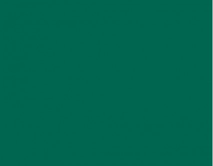 RAL 6016