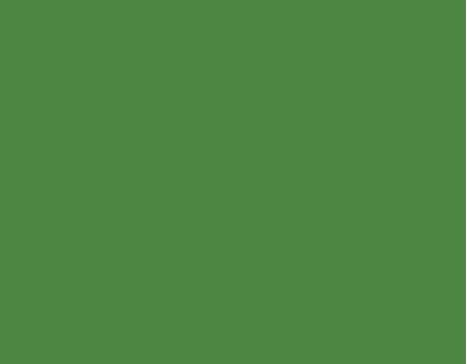 RAL 6017