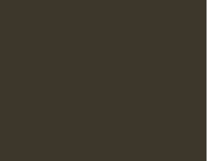 RAL 6022