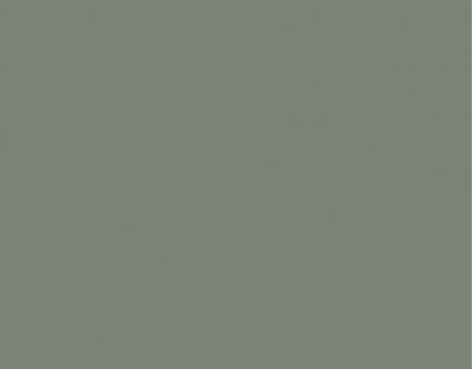 RAL 7033